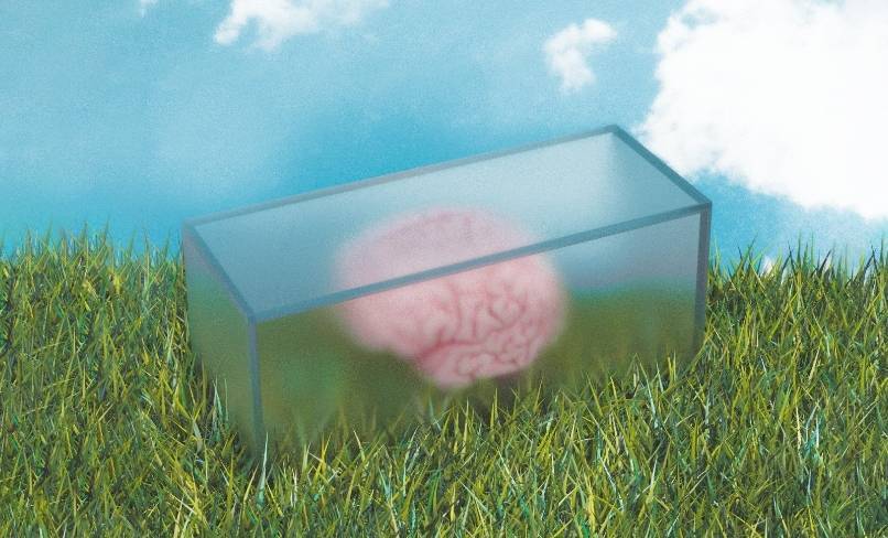 I SOCIAL: QUESTIONE DI CERVELLO