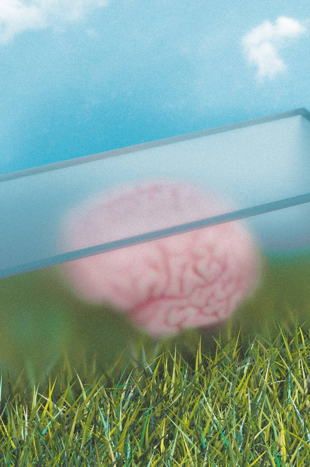I SOCIAL: QUESTIONE DI CERVELLO